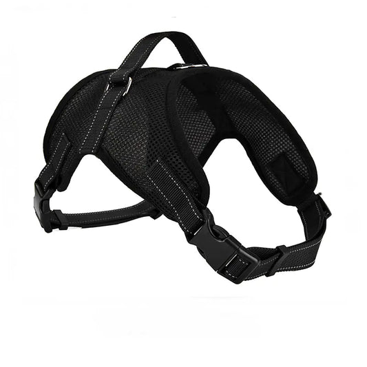 Breathable Dog Leash with Simple Pet Chest Harness